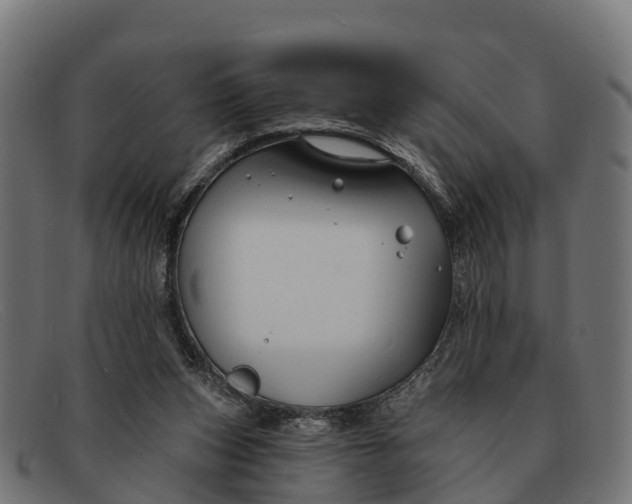 X0000091670159200709131535