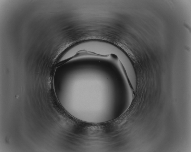 X0000091670160200709131535