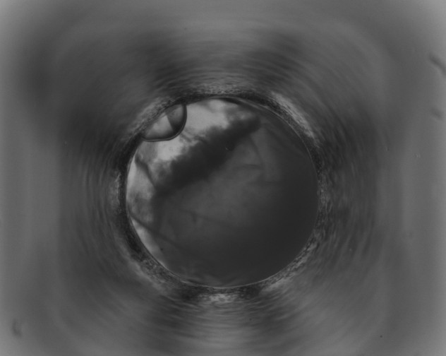 X0000091670163200709131535