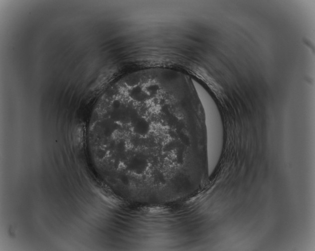 X0000091670165200709131535