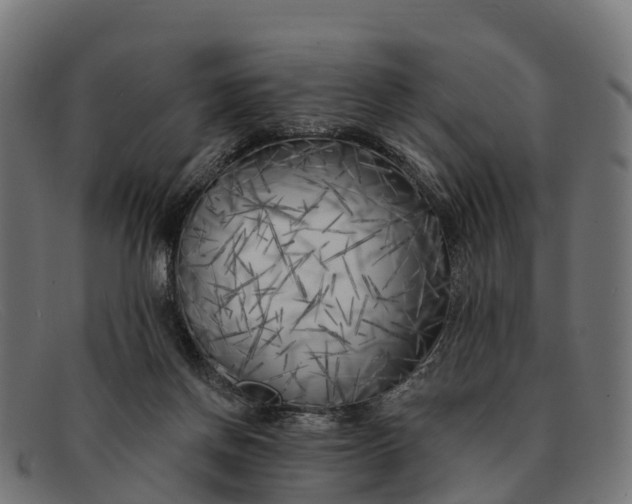 X0000091670166200709131535