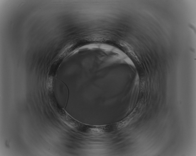 X0000091670167200709131535