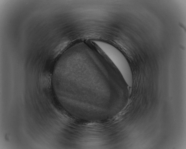 X0000091670168200709131535