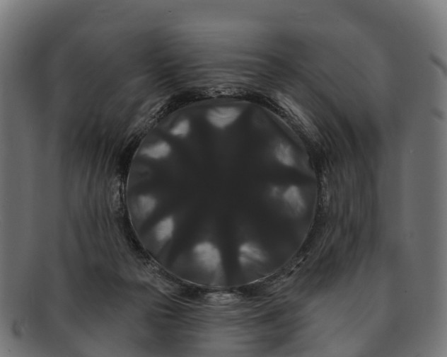 X0000091670169200709131535