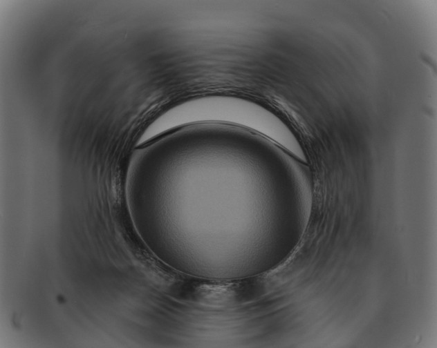 X0000091670170200709131535