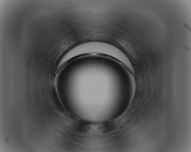 X0000091670172200709131535