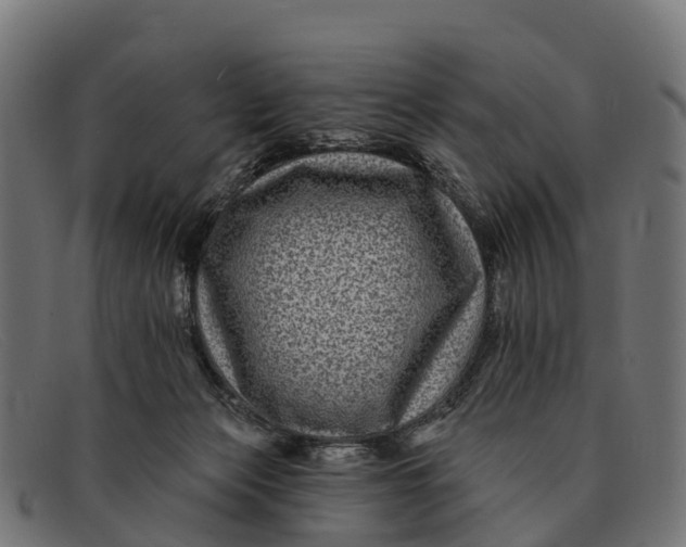 X0000091670173200709131535