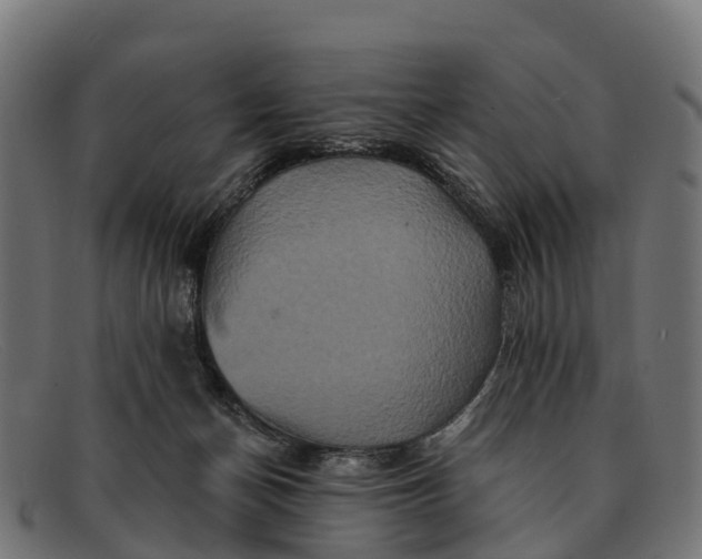 X0000091670174200709131535