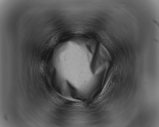 X0000091670175200709131535