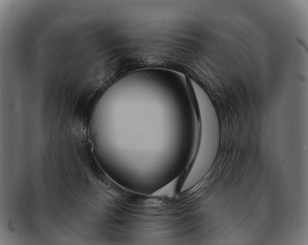 X0000091670176200709131535