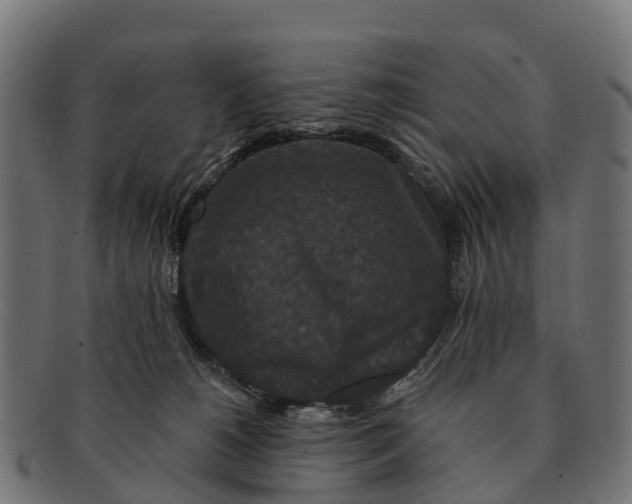 X0000091670180200709131535