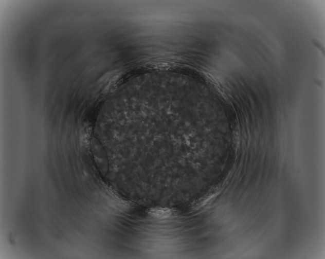 X0000091670181200709131535