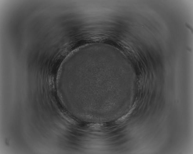 X0000091670182200709131535