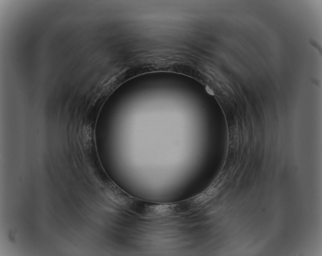 X0000091670184200709131535