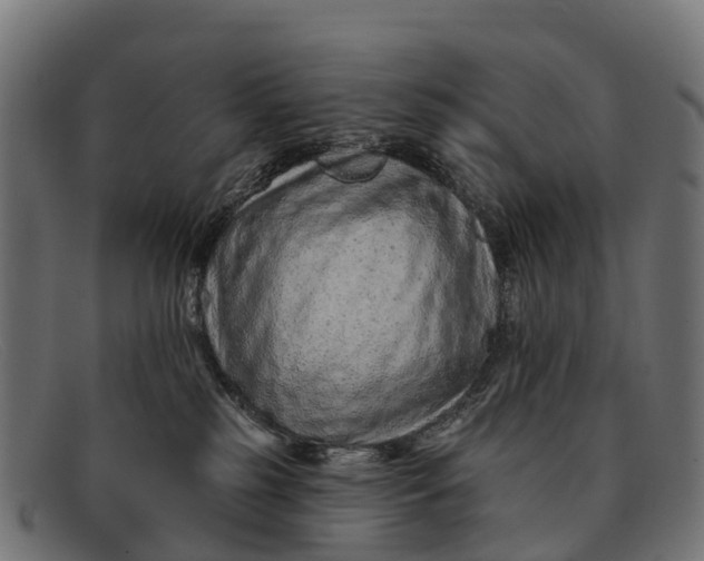 X0000091670185200709131535