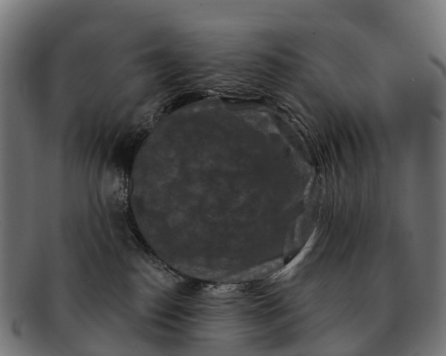 X0000091670186200709131535