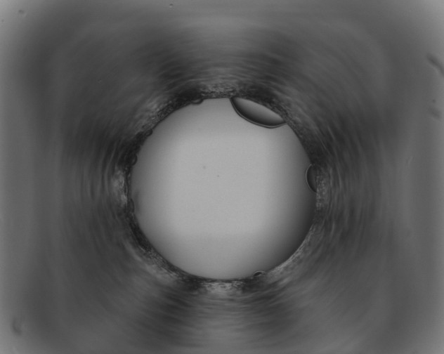 X0000091670187200709131535