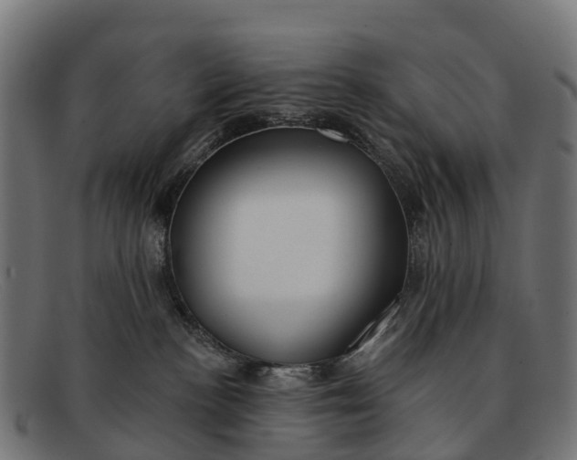 X0000091670188200709131535