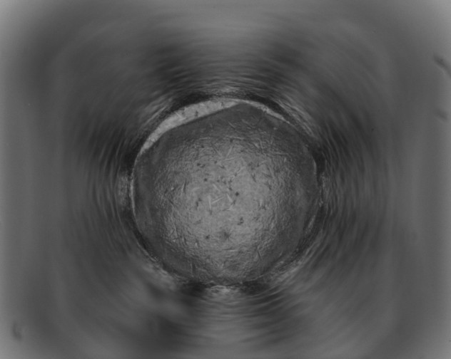 X0000091670189200709131535