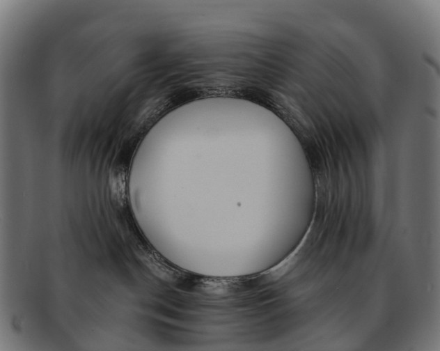 X0000091670190200709131535