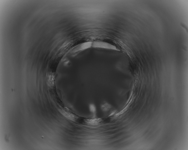 X0000091670191200709131535