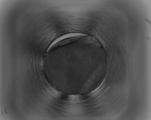 X0000091670192200709131535