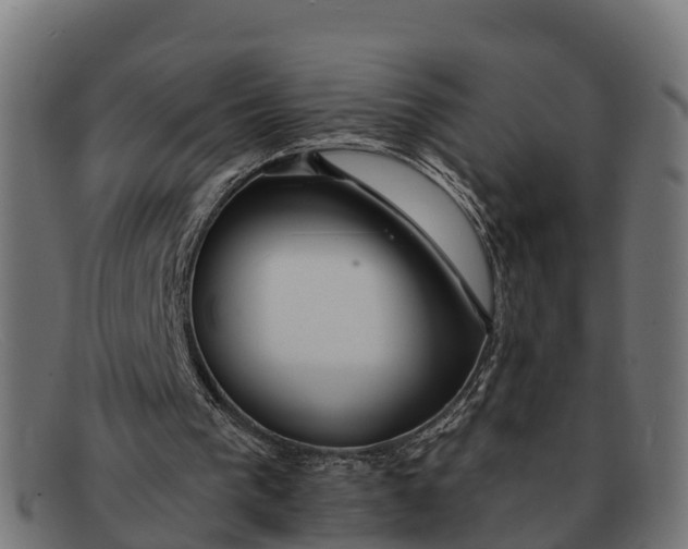 X0000091670193200709131535