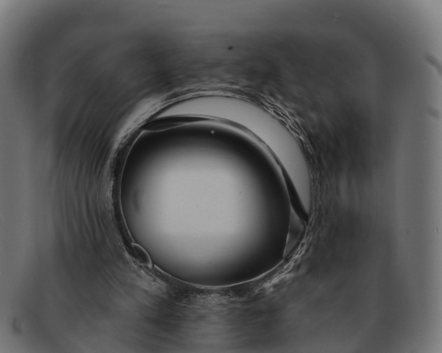 X0000091670197200709131535