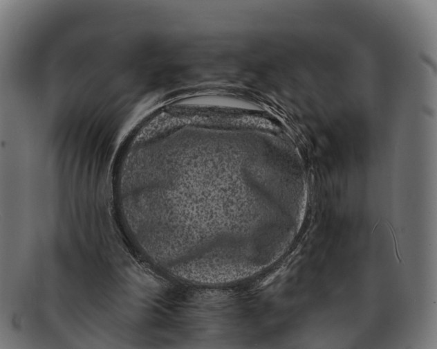 X0000091670198200709131535