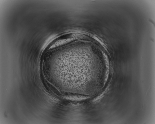 X0000091670199200709131535