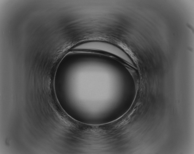 X0000091670201200709131534