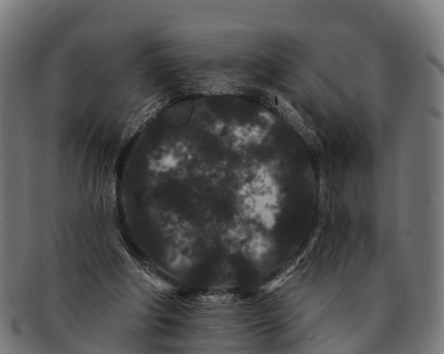 X0000091670202200709131534