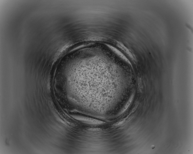 X0000091670203200709131534