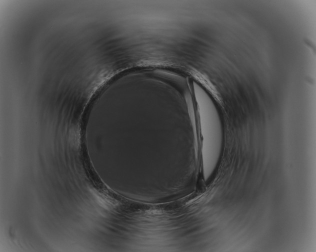 X0000091670204200709131534