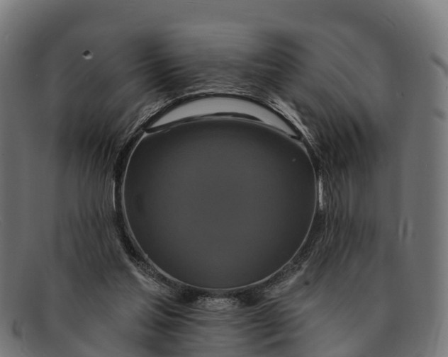 X0000091670205200709131534