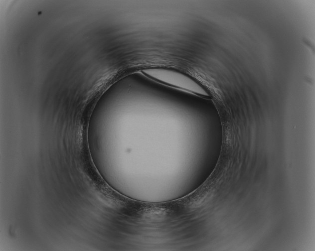 X0000091670206200709131534