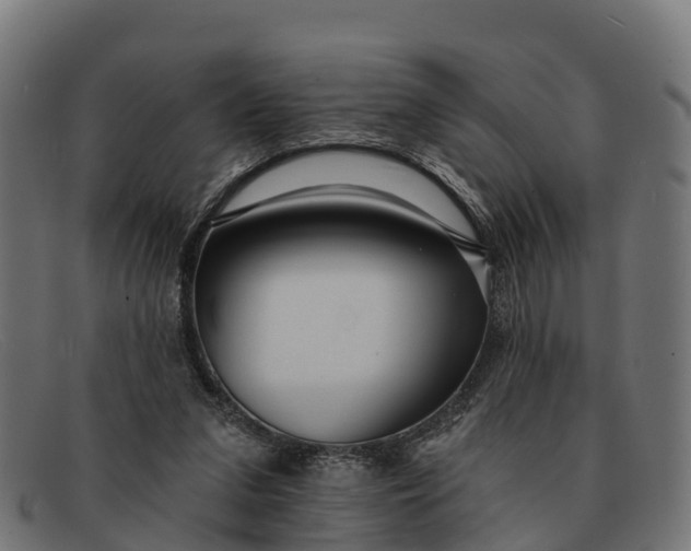 X0000091670207200709131534