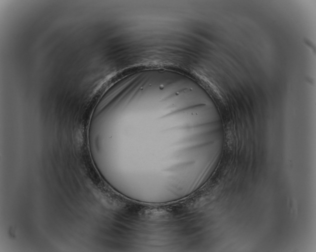 X0000091670208200709131534