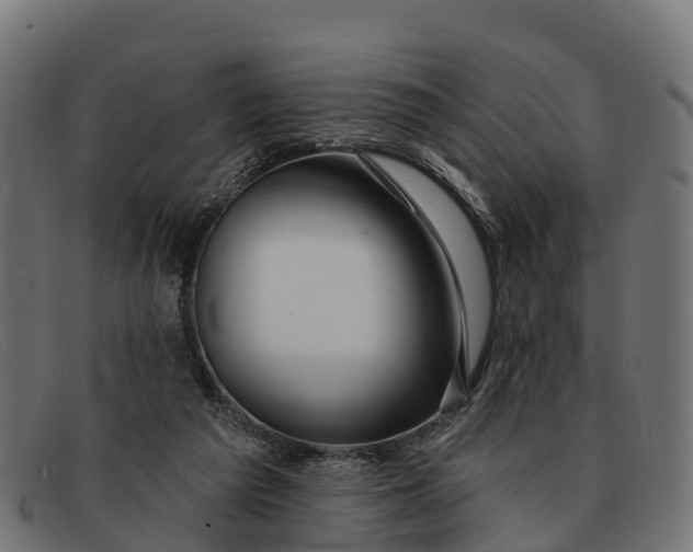 X0000091670209200709131534