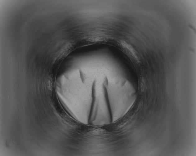 X0000091670210200709131534