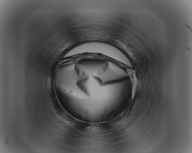 X0000091670211200709131534