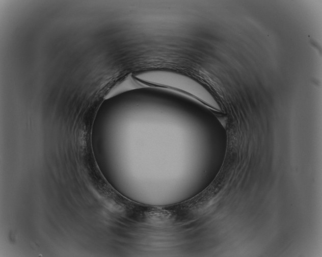 X0000091670215200709131534