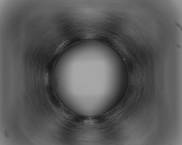 X0000091670216200709131534