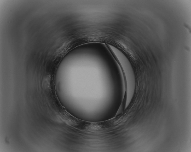 X0000091670217200709131534