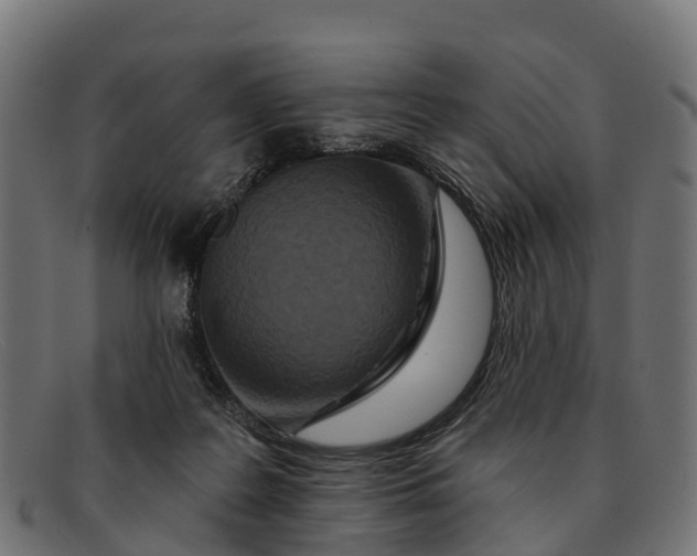 X0000091670219200709131534