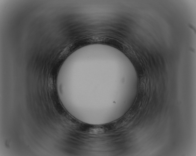 X0000091670220200709131534