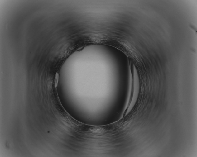 X0000091670221200709131534