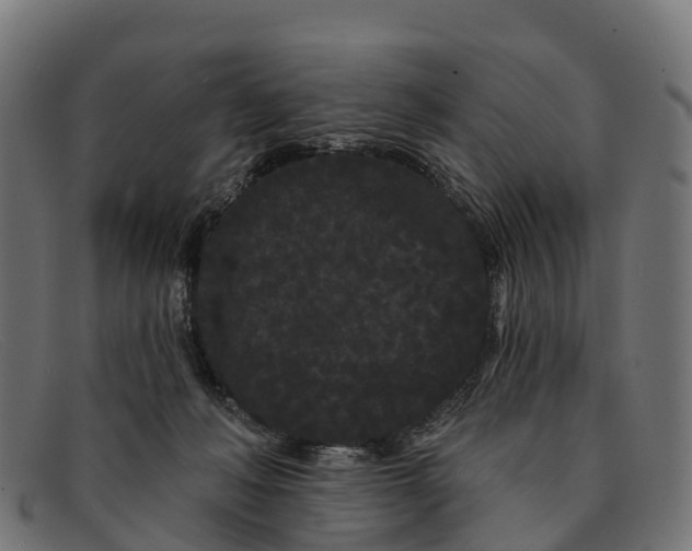 X0000091670222200709131534