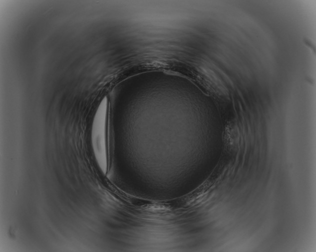 X0000091670223200709131534