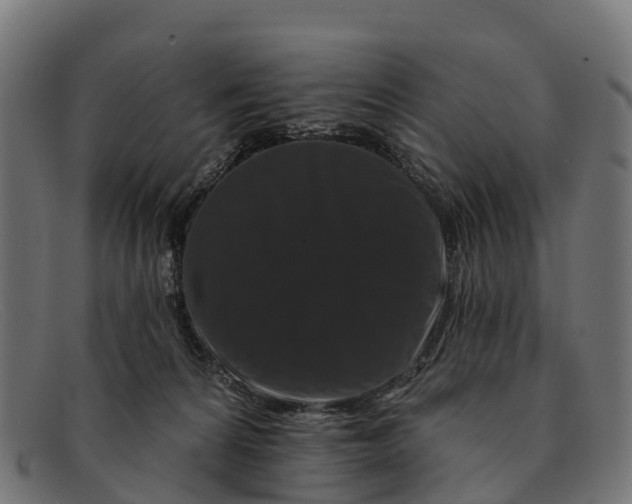 X0000091670224200709131534